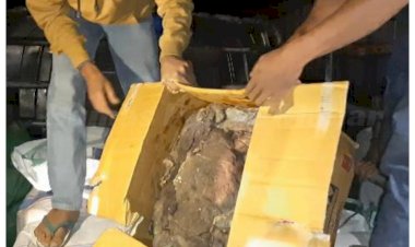 Polres-Manggarai-Barat-Gagalkan-Penyelundupan-Ratusan-Kilogram-Daging-Rusa-di-Labuan-Bajo