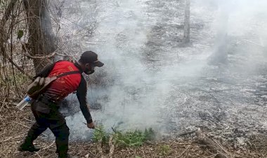Kebakaran-Hutan-RTK-111,-Kapolsek-Kuwus-Bersama-Anggota-Memadamkan-Api-Menggunakan-Alat-Seadanya