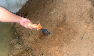 Tabung-LPG-Meledak,-Kapolsek-Lembor-Turun-Langsung-Cek-TKP