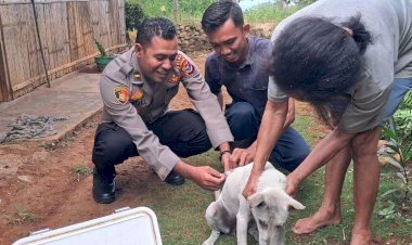 Polisi-Kawal-Vaksinasi-Hewan-Penular-Rabies-di-Lembor
