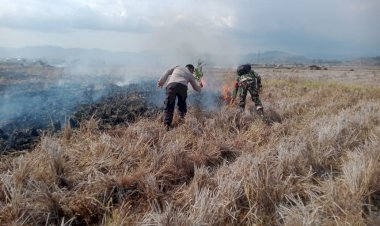 TNI-Polri-Bersama-Masyarakat-Berhasil-Padamkan-Api-Yang-Membakar-Persawahan-Lembor