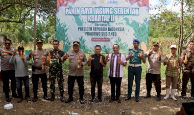 Polisi-Bersama-Forkopimda-dan-Kelompok-Tani-Gelar-Panen-Raya-Jagung-di-Labuan-Bajo