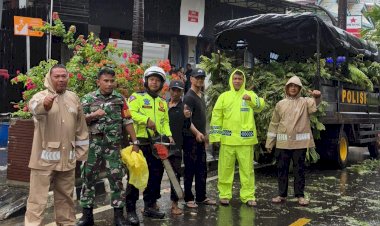 Respons-Cepat-Satlantas-Polres-Manggarai-Barat-Atasi-Pohon-Tumbang-di-Labuan-Bajo