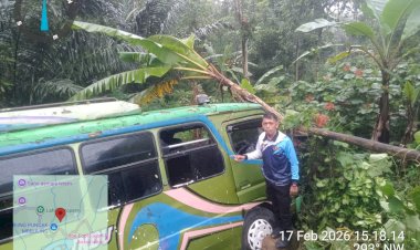 Sopir-Mengantuk,-Bus-Mitsubishi-Terjun-ke-Jurang-di-Trans-Flores-Mbeliling