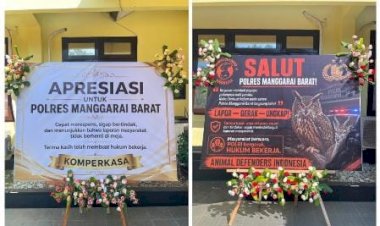 Banjir-Apresiasi-usai-Ringkus-Pelaku-Kekerasan-Satwa,-Polres-Mabar-Dinilai-Buktikan-Pelayanan-Responsif