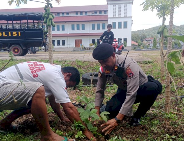 Hijaukan Lingkungan Gereja St. Petrus, Sat Samapta Polres Mabar Tanam Puluhan Bibit Pohon