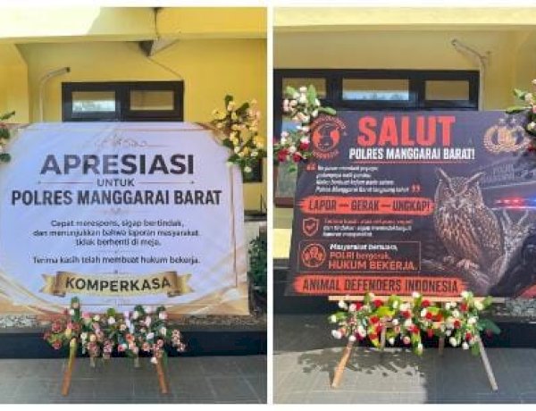 Banjir Apresiasi usai Ringkus Pelaku Kekerasan Satwa, Polres Mabar Dinilai Buktikan Pelayanan Responsif