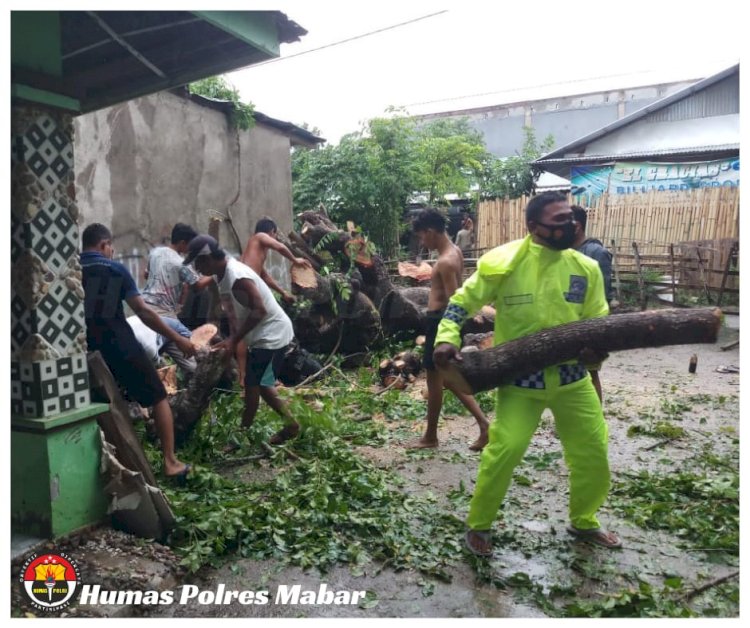 Bhabinkamtibmas Bantu Bersihkan Pohon Yang Menimpa Rumah Warga