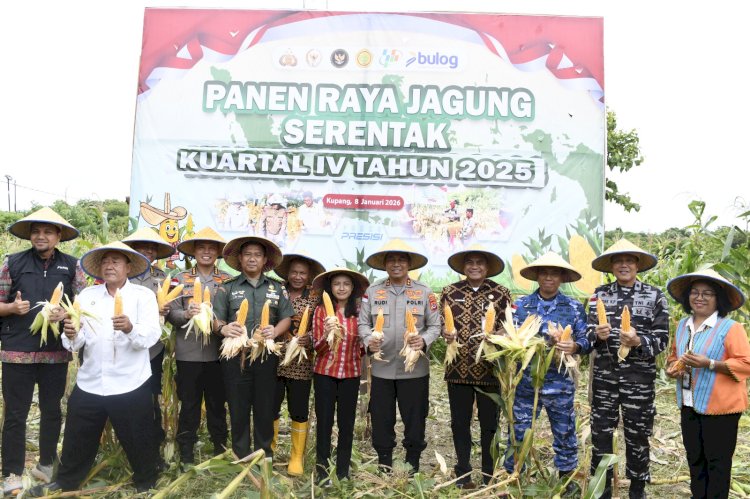 Kapolda NTT Pimpin Panen Raya Jagung Kuartal IV 2025, Perkuat NTT sebagai Lumbung Jagung Nasional