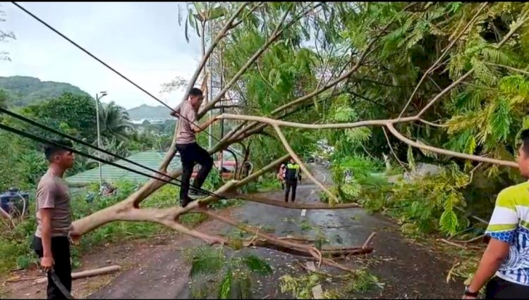 Aksi Cepat Anggota Polres Mabar Bersihkan Pohon Tumbang dengan Alat Seadanya