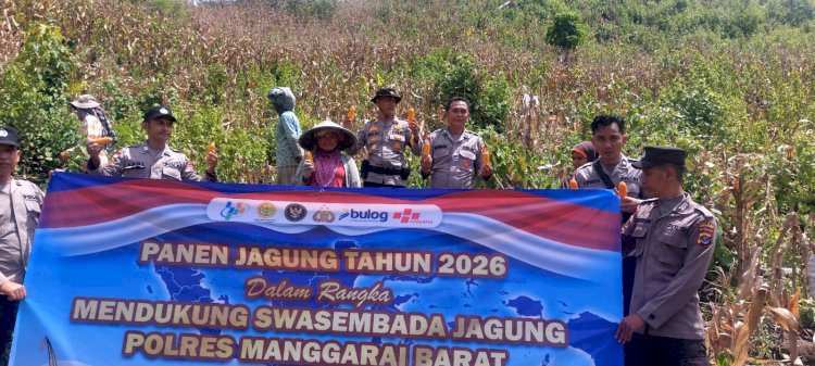 Polisi dan Petani Golo Mori Bahu-Membahu Kawal Ketahanan Pangan di Tengah Tantangan Iklim