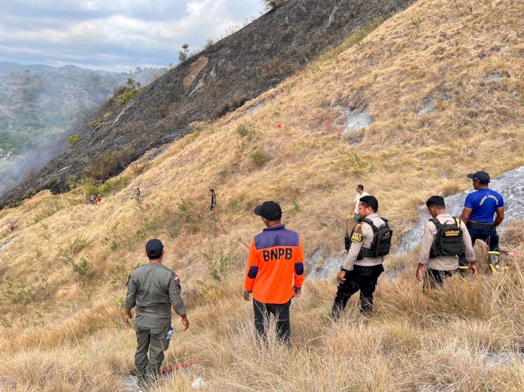 Sinergi TNI-POLRI dan Damkar Jinakkan Kebakaran Savana Bukit Silvia Labuan Bajo