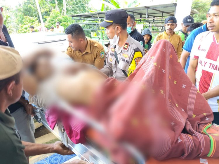 Dua Korban Meninggal Dunia, Polisi Bersama Warga Gerak Cepat Evakuasi Korban Laka 'Bis Kayu' di Ndoso