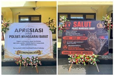 Banjir Apresiasi usai Ringkus Pelaku Kekerasan Satwa, Polres Mabar Dinilai Buktikan Pelayanan Responsif