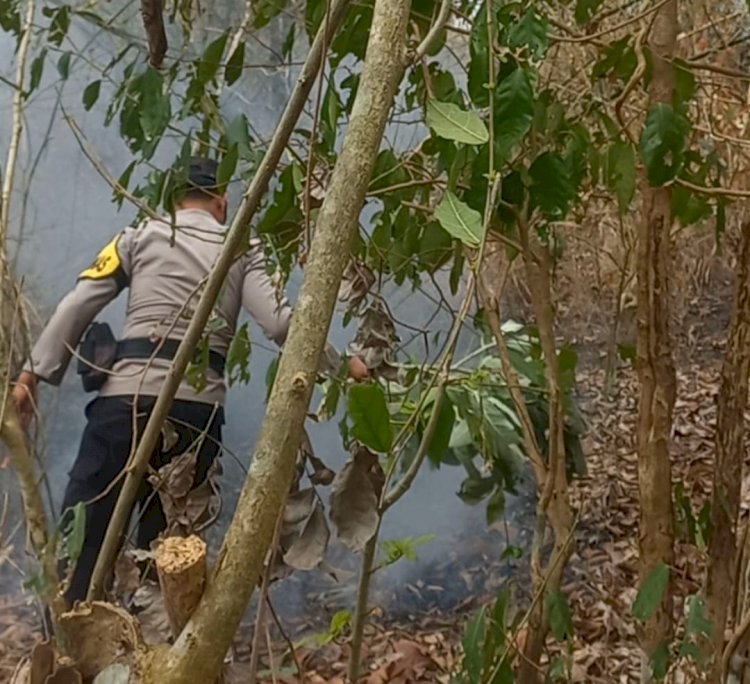Respons Cepat Kebakaran Lahan di Warloka, AIPDA Yunus dan Warga Bahu-Membahu Padamkan Api