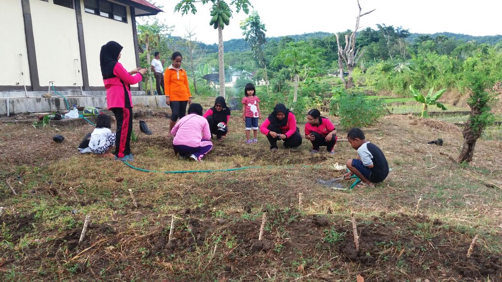 Bhayangkari Ranting Komodo Memanfaatkan Lahan Kosong di Belakang Kantor Polsek dengan Menanam Berbagai Jenis Sayuran