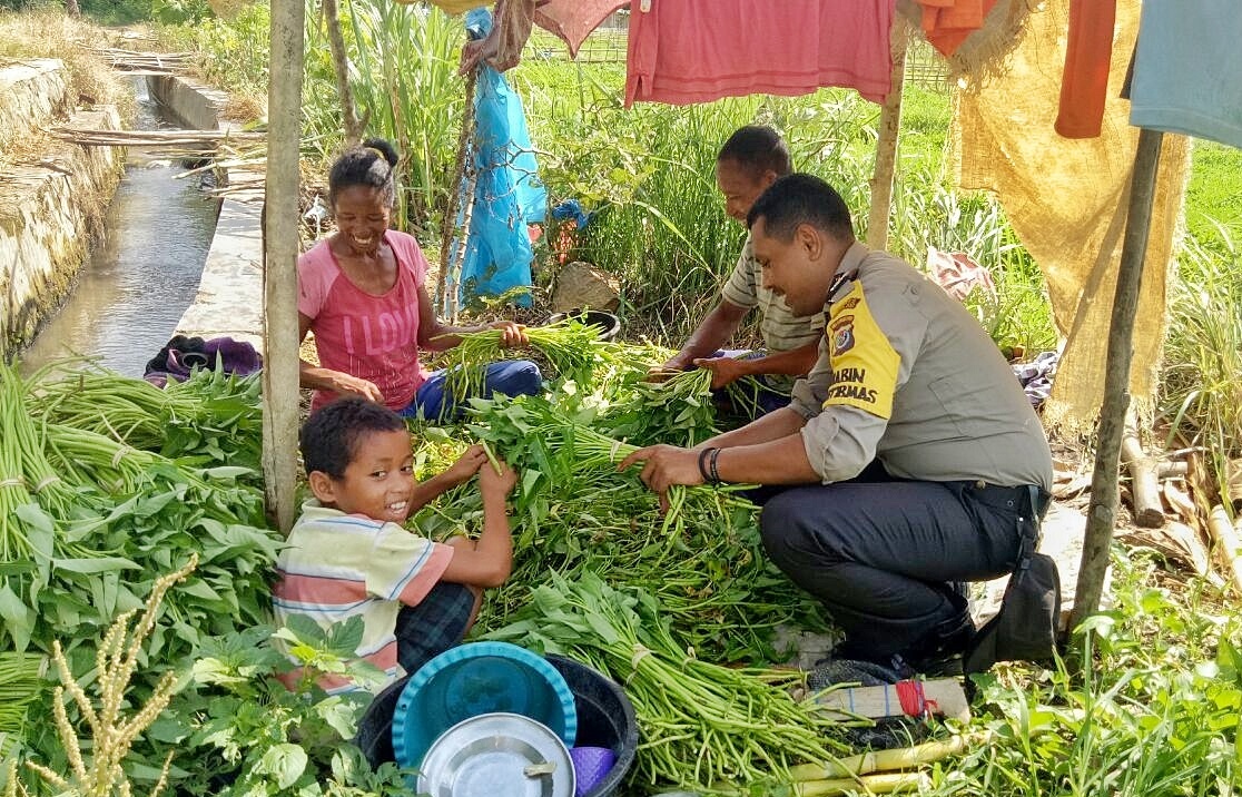 Bhabinkamtibmas Desa Macang Tanggar bantu warga mengikat sayuran guna dijual ke pasar