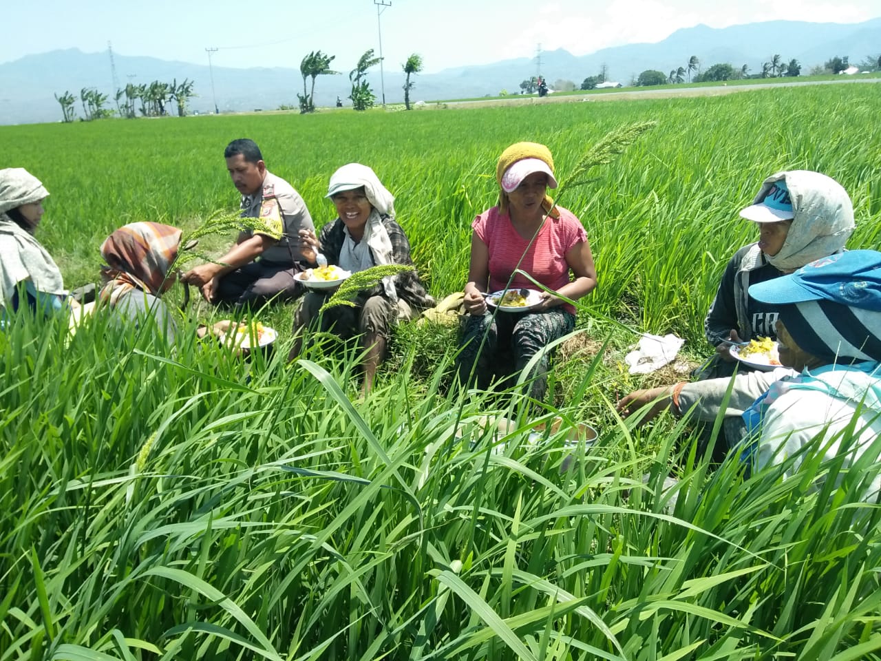 Bhabinkamtibmas Desa Pondo Sambangi Kelompok Tani Lembor