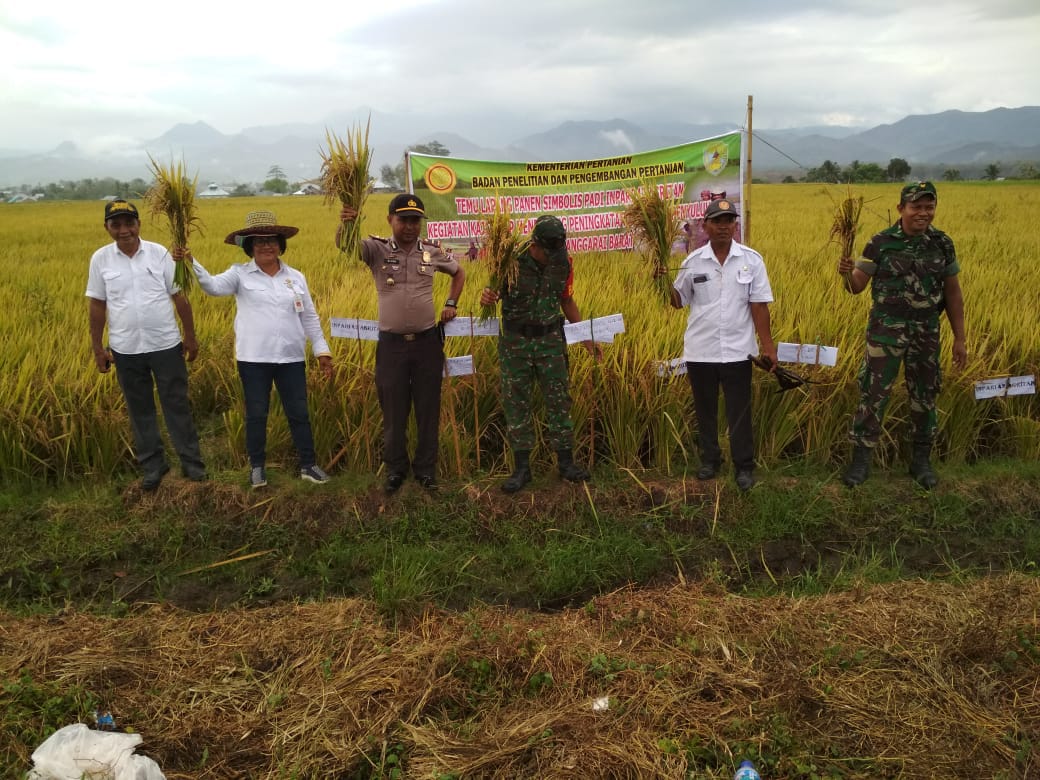 Kapolsek Lembor Hadiri Temu Lapang BPTP Bersama Petani Lembor